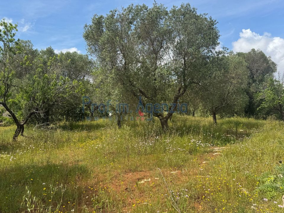 Helårsgrund i Carovigno, Brindisi - foto 4